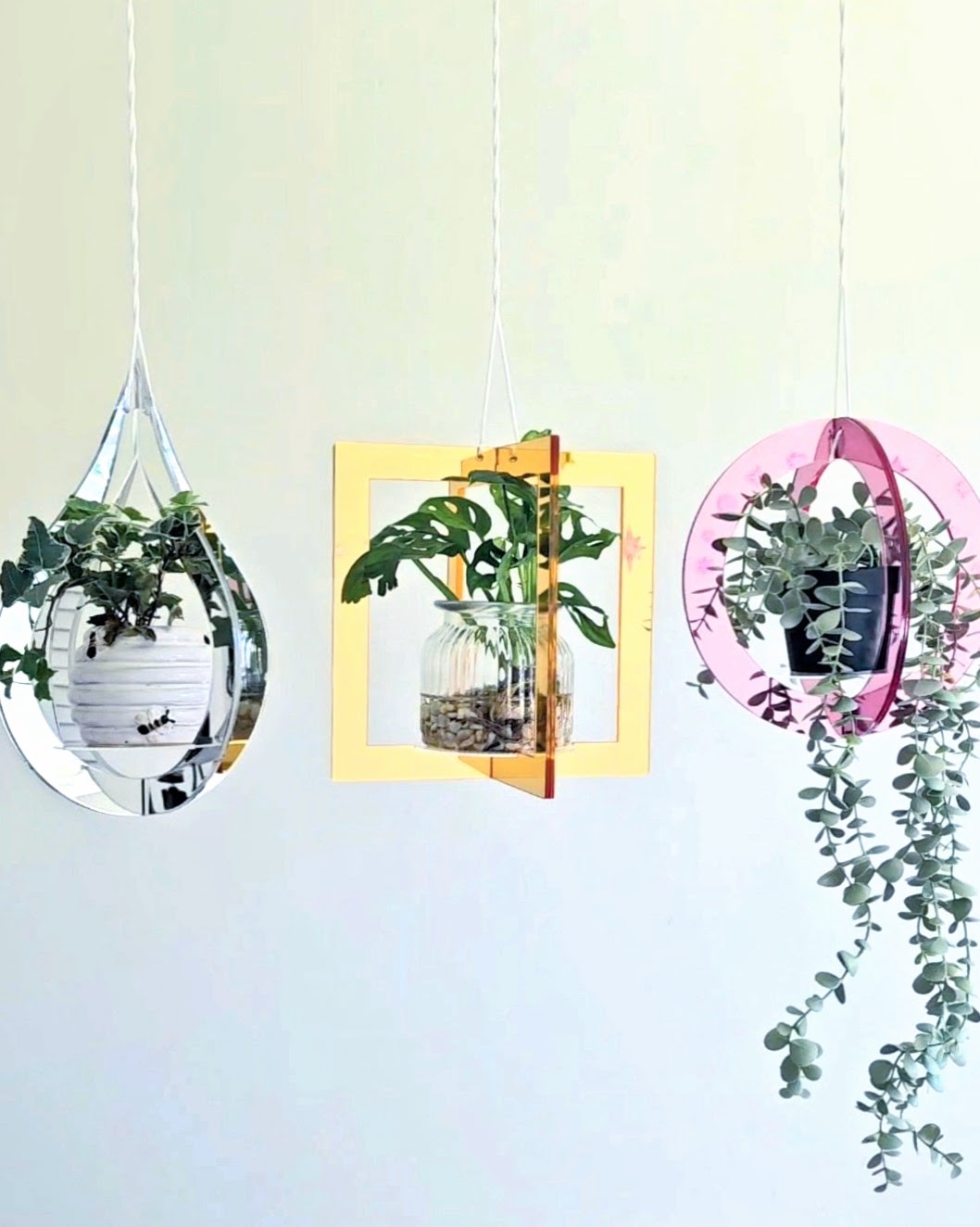 Mirror Plant Hanger