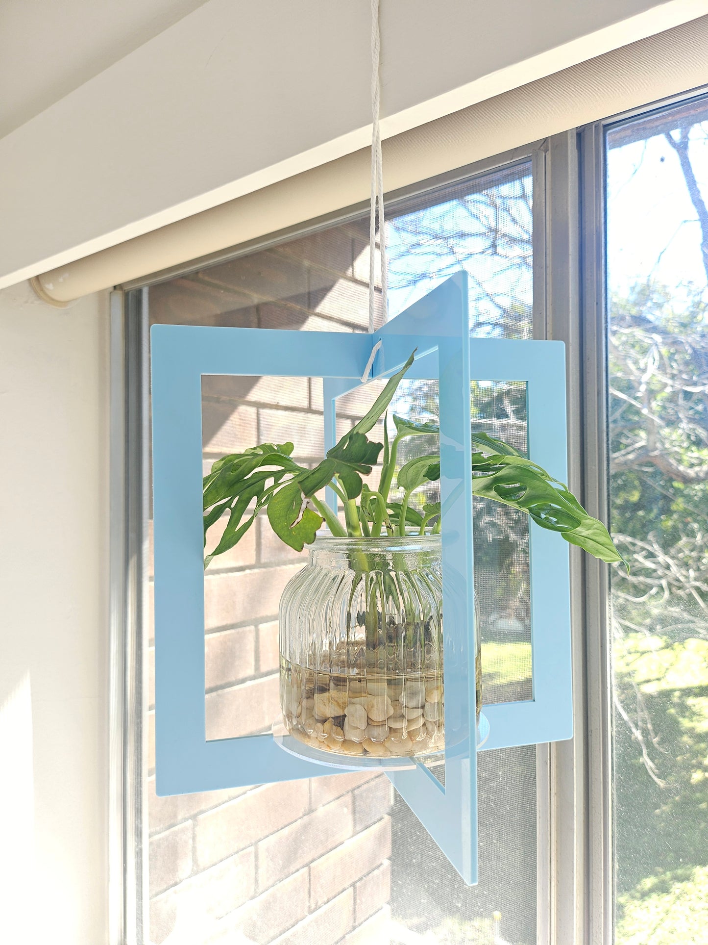Pastel Plant Hanger