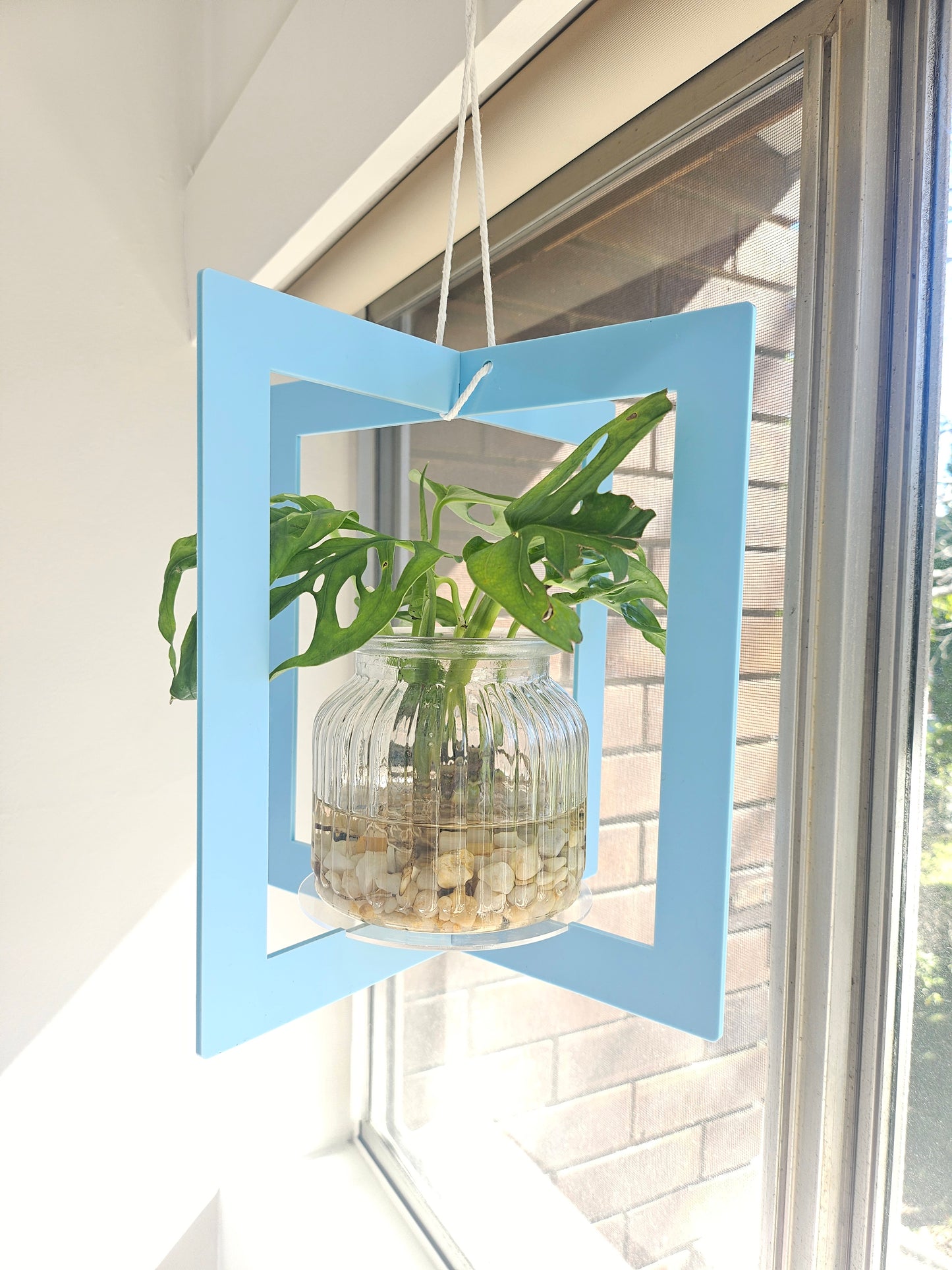 Pastel Plant Hanger