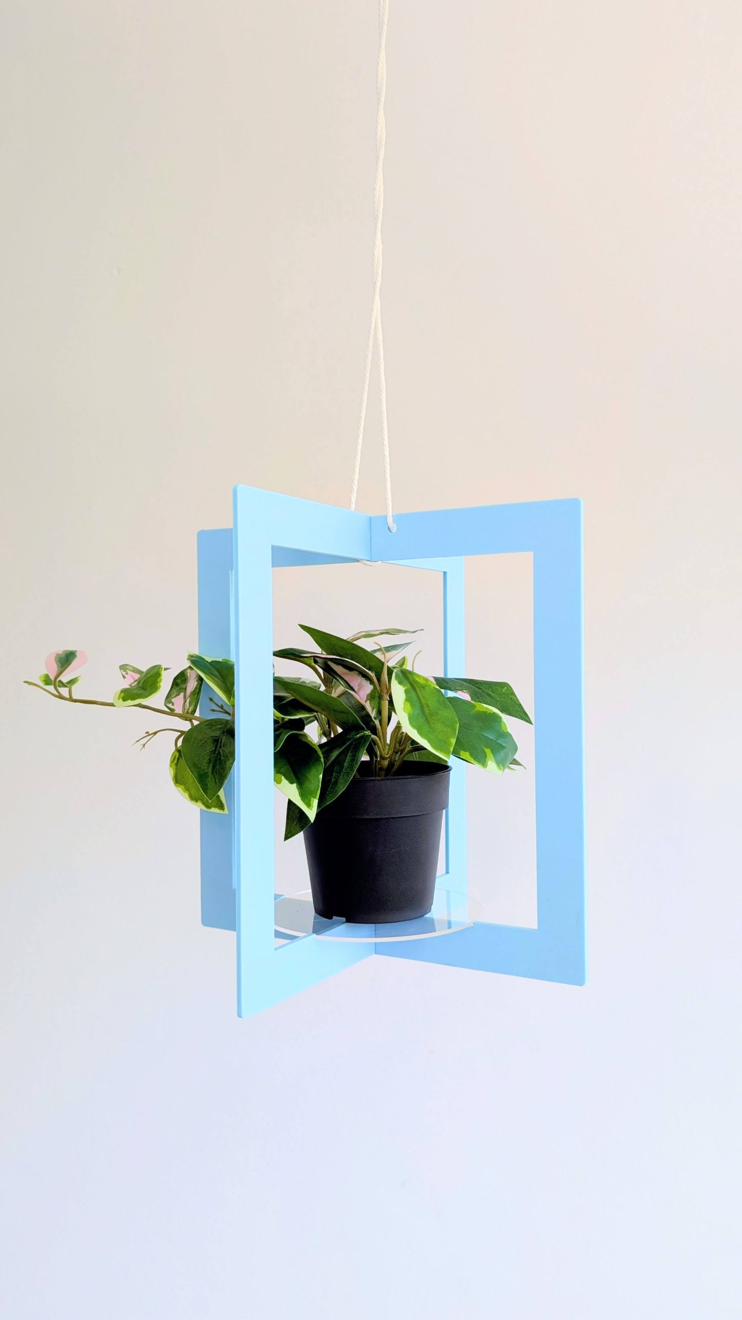 Pastel Plant Hanger