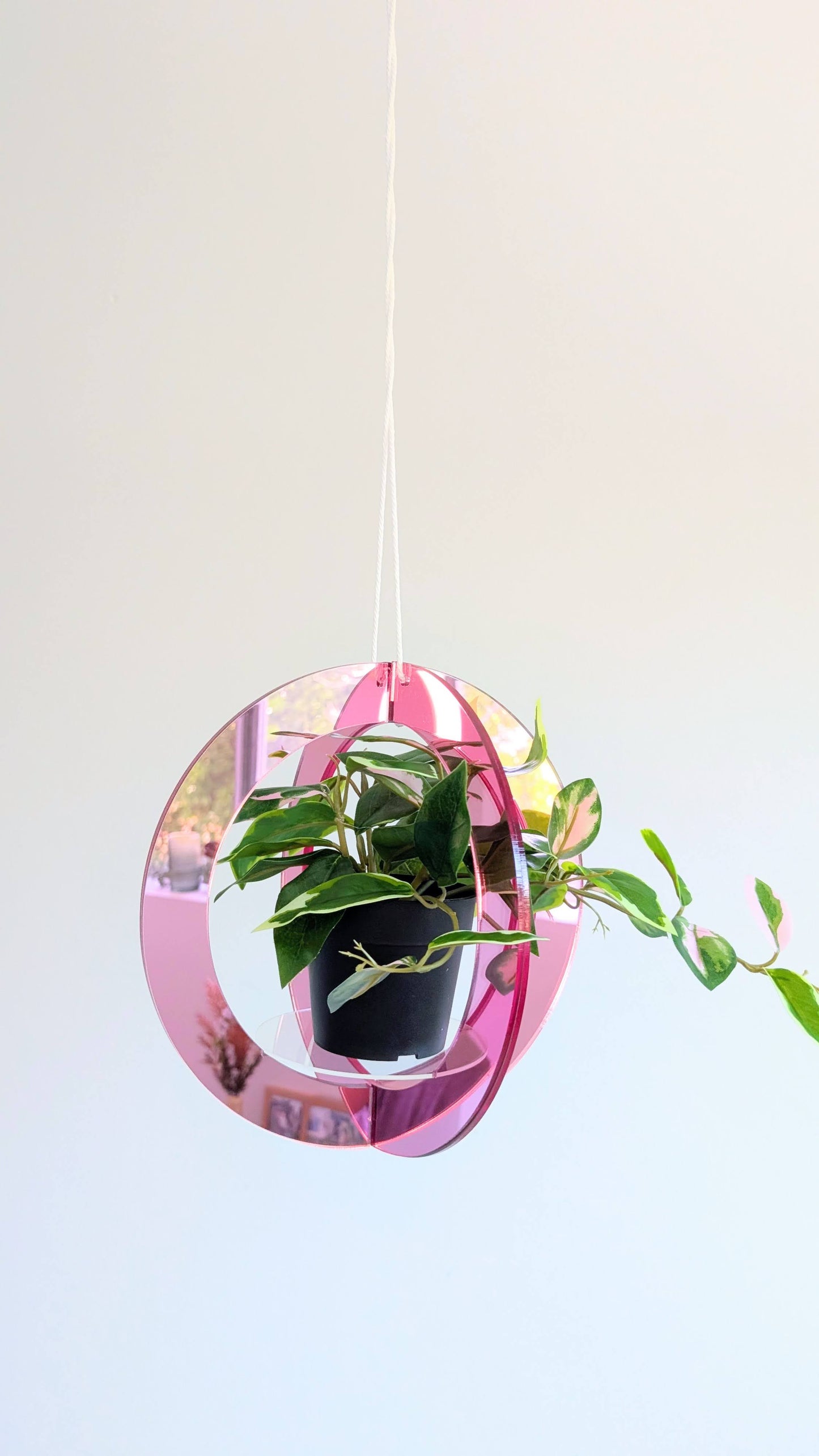 Mirror Plant Hanger