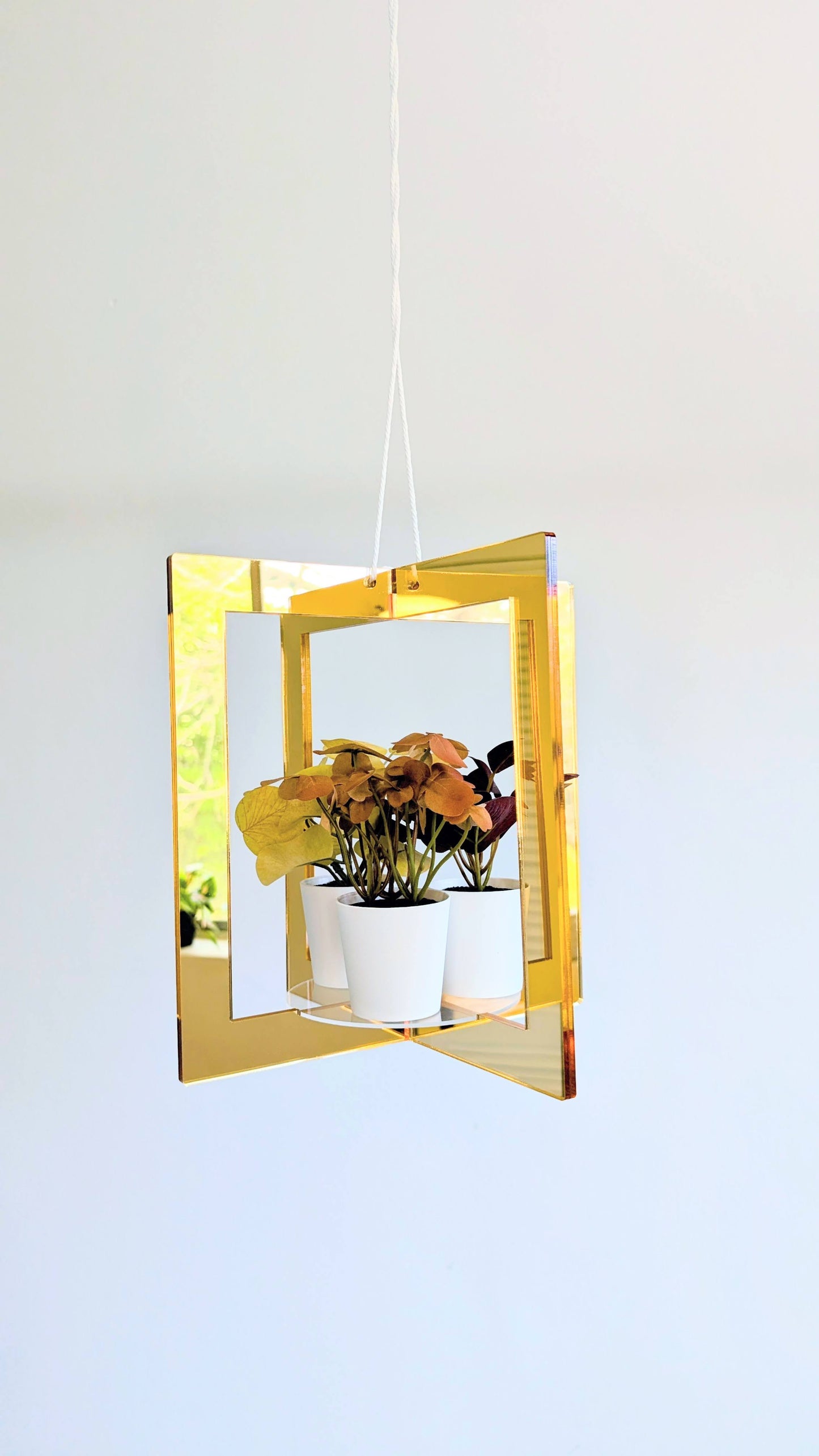 Mirror Plant Hanger