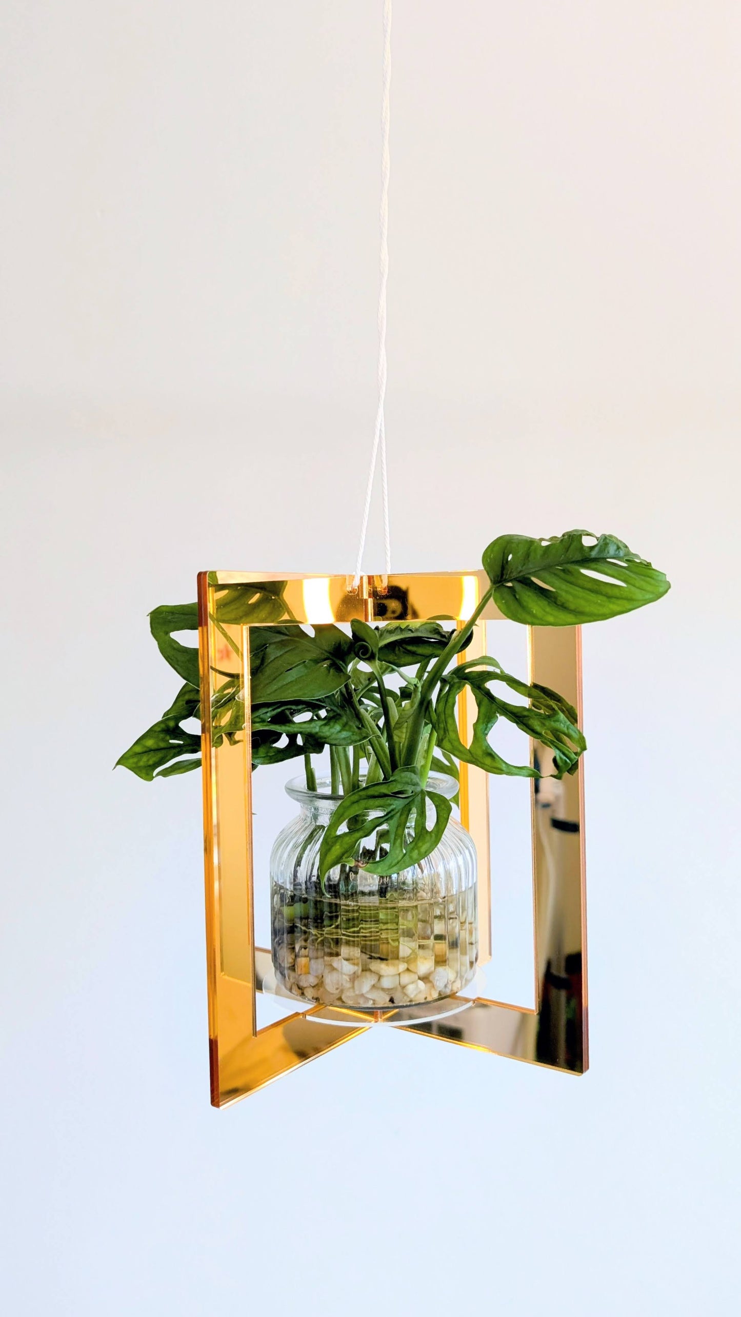 Mirror Plant Hanger