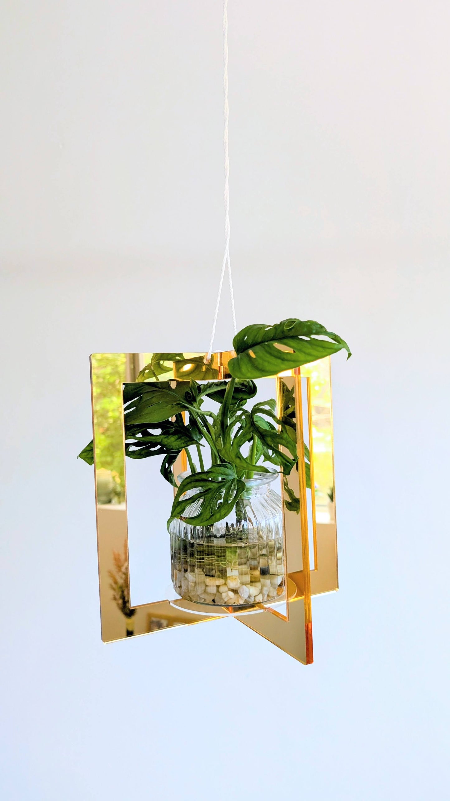 Mirror Plant Hanger