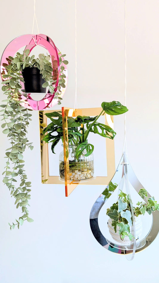 Mirror Plant Hanger