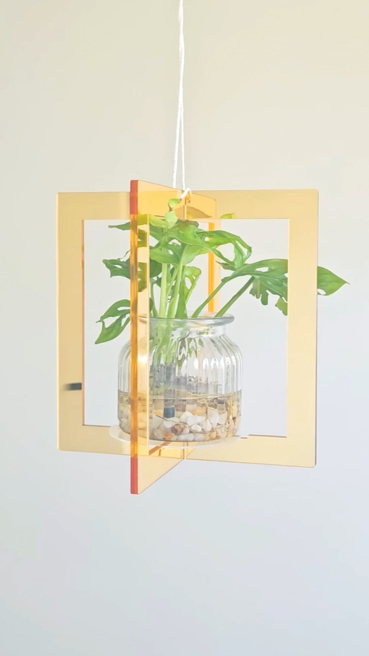 Mirror Plant Hanger