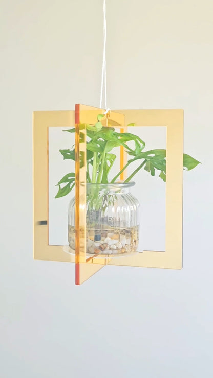 Mirror Plant Hanger
