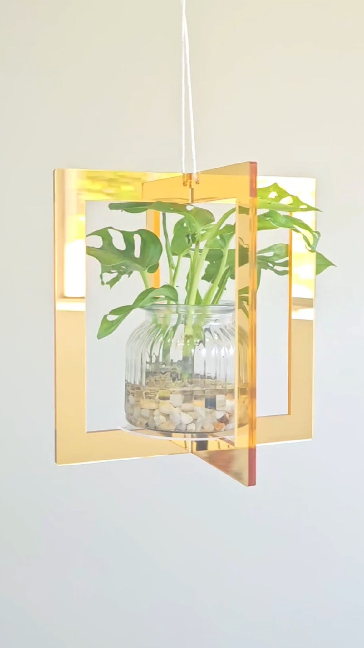 Mirror Plant Hanger