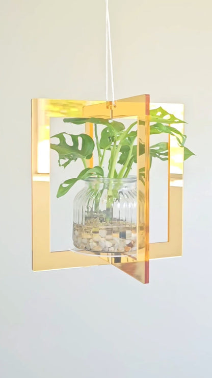 Mirror Plant Hanger