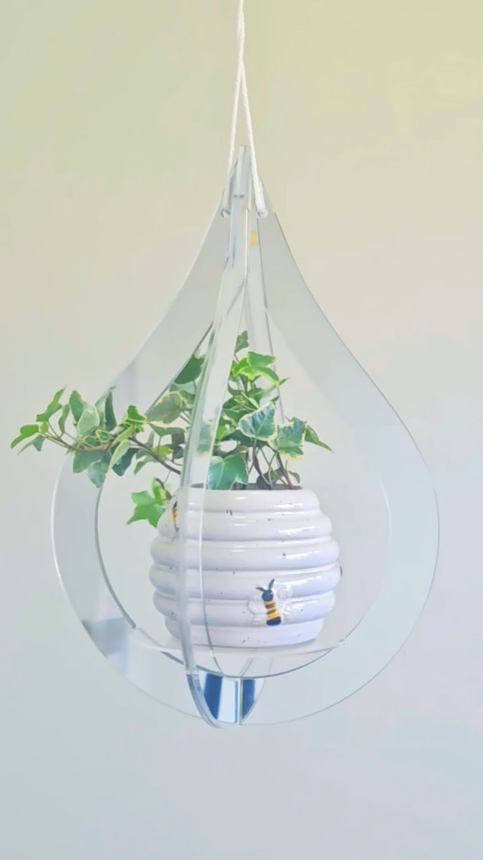 Mirror Plant Hanger