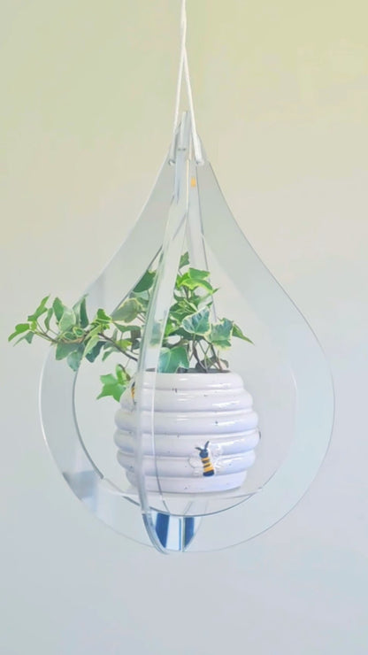 Mirror Plant Hanger