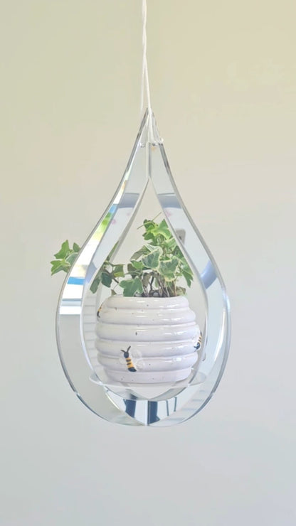 Mirror Plant Hanger