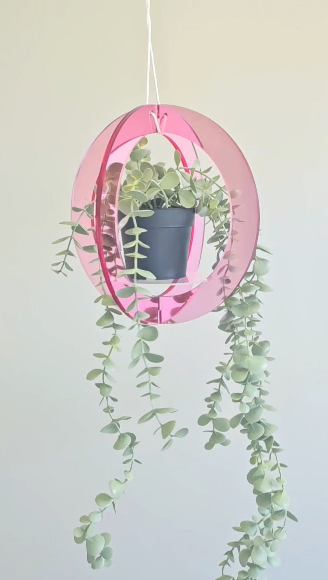 Mirror Plant Hanger