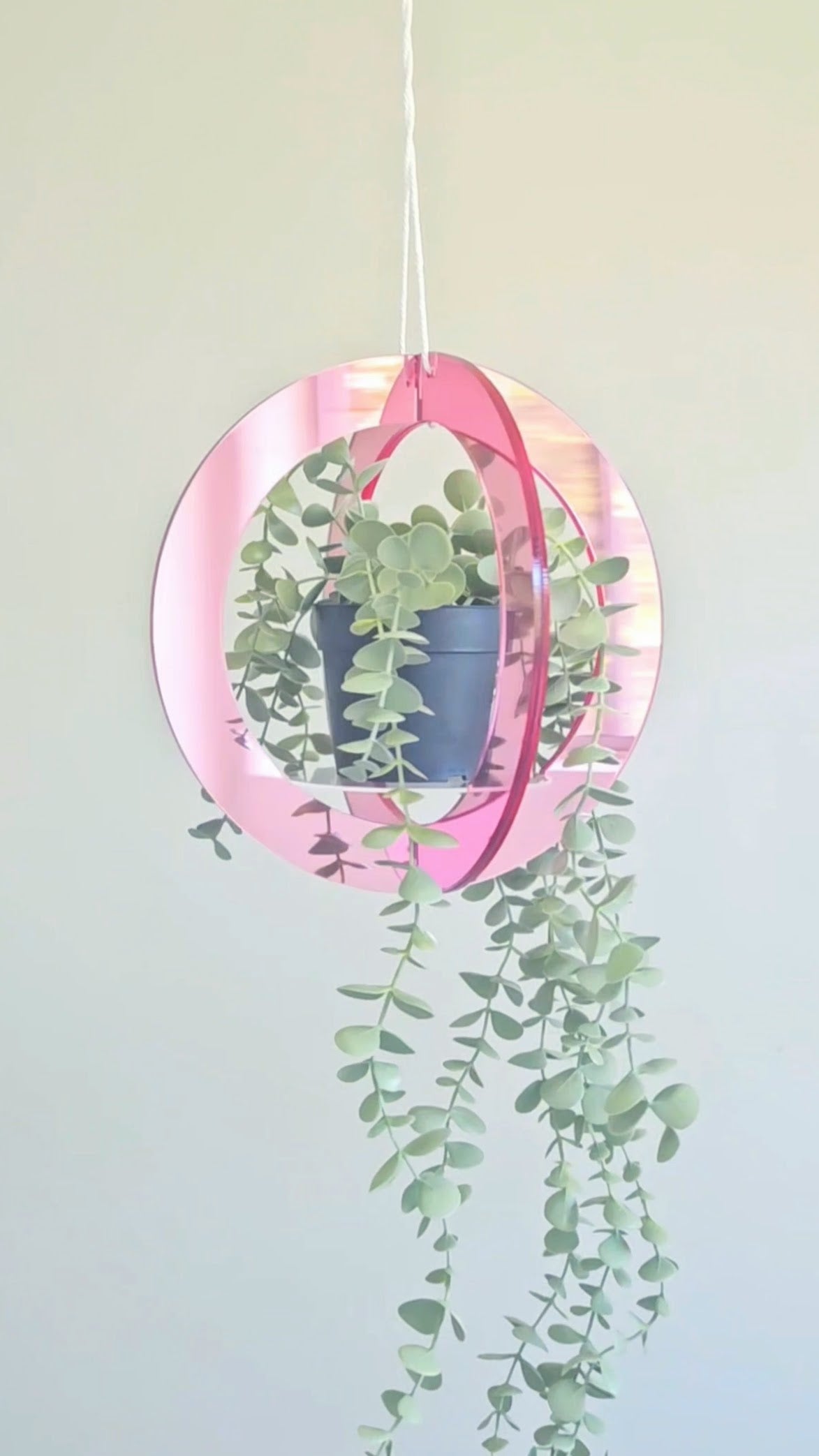 Mirror Plant Hanger