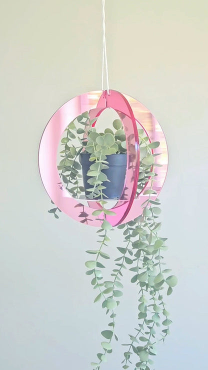 Mirror Plant Hanger