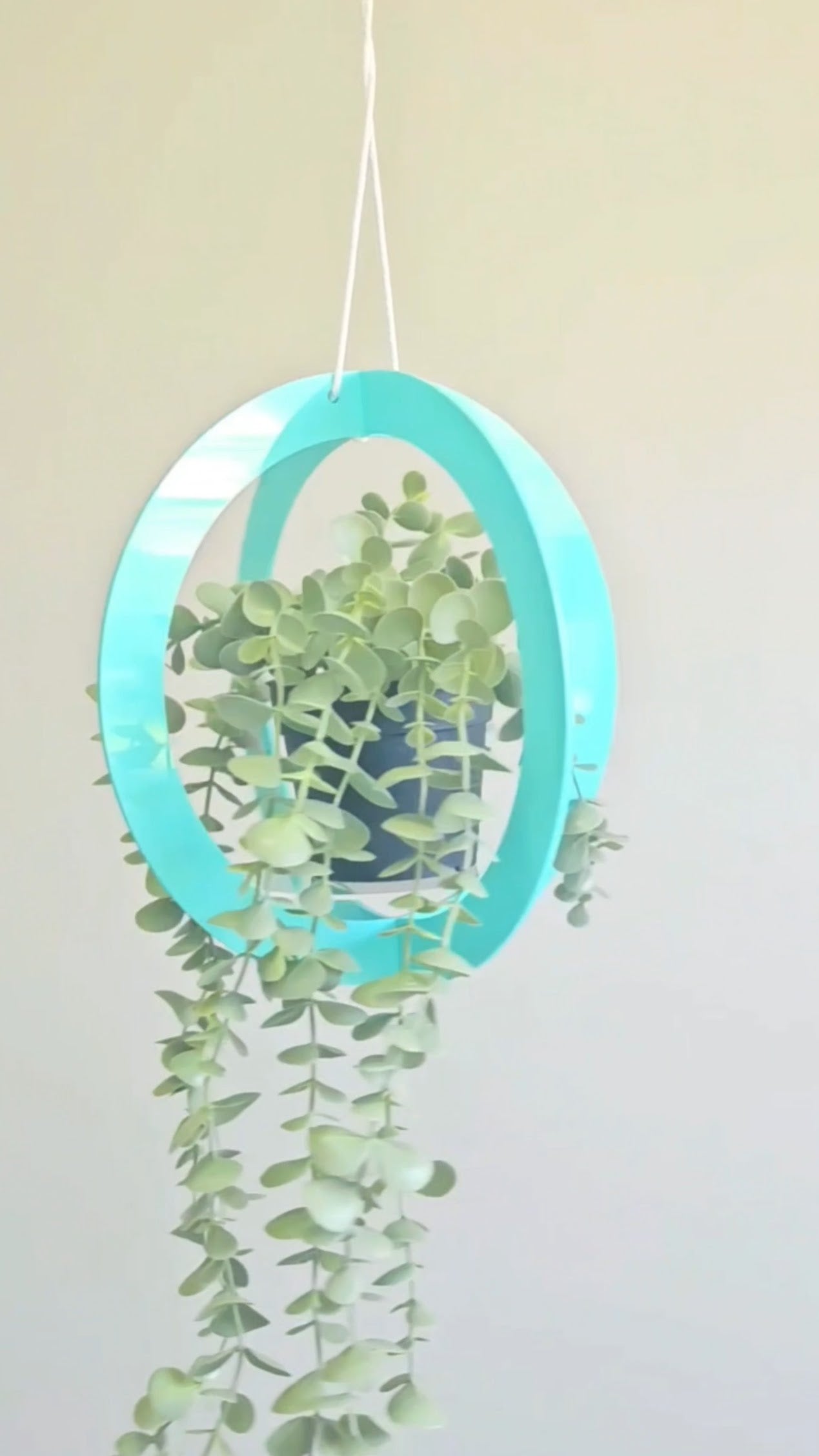 Pastel Plant Hanger